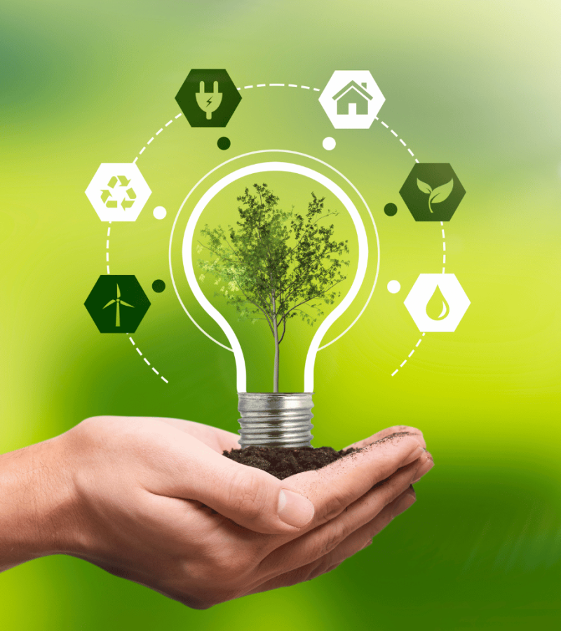 Green Plasticos Green Plásticos da Amazônia